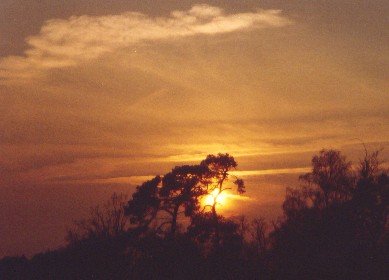 Sonnenuntergang6.jpg (23352 Byte)