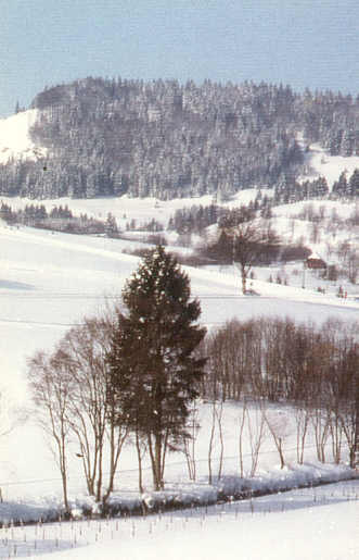 Winterlandschaft.jpg (25388 Byte)